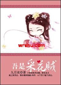 吾是采花贼封面
