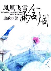 凤凰飞雪雨含烟封面