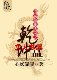 傅家金龙传奇之乾坤盒封面