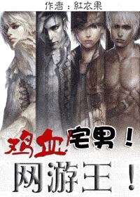鸡血!宅男!网游王!封面