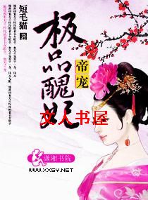 帝宠--极品丑妃封面