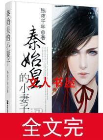 秦始皇的小妻子封面