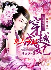 天纵流星,穿越成妃封面