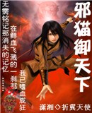 邪猫御天下封面
