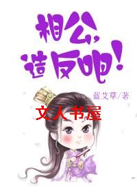 相公,造反吧!封面