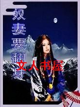 情为何物?之奴妻要翻身封面