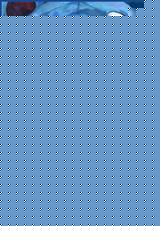 ĩ֮Ҷ