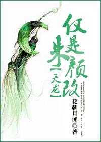 (天龙八部同人)仅是朱颜改封面