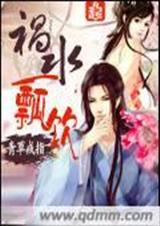 祸水一瓢饮封面