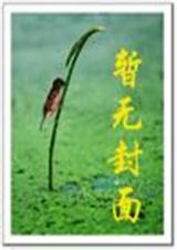 被校花逆推之后封面