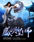 盛明皇师封面