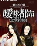 暧昧都市之掌控师封面