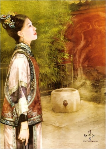 宫廷营养师封面